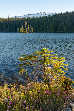 Diamond Peak June Evening