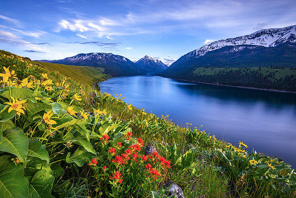 Wallowa Lake Bloom