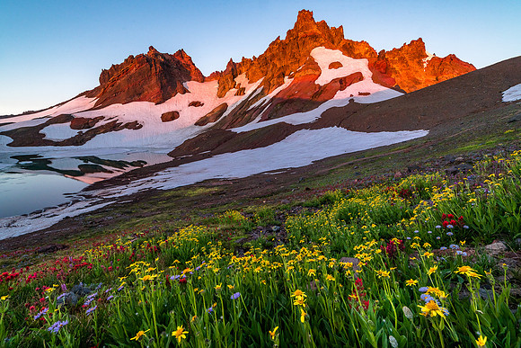 Broken Top Wildflower Sunrise