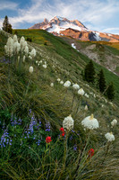 Mount Hood Freedom Colors
