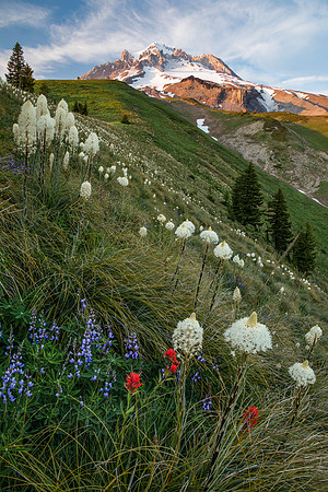 Mount Hood Freedom Colors