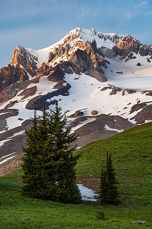 Mount Hood Simplicity
