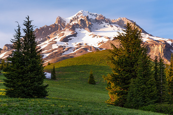 Mount Hood Paradise Light