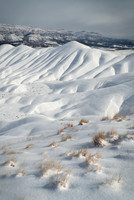 Painted White
