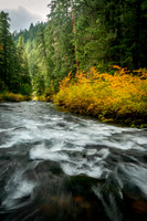 Fall Color on the River