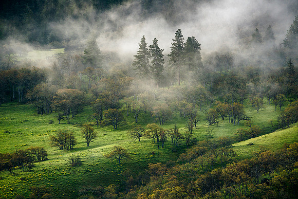 Columbia Gorge Fairytail