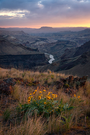 Forever View Morning Light