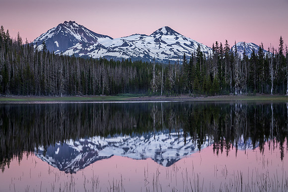 Three Sisters in Lavender