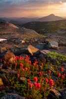 Pacific Crest Trail and Mount Hood