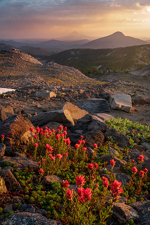 Pacific Crest Trail and Mount Hood