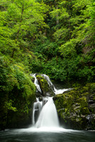 Sweet Creek Falls