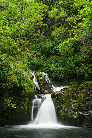 Sweet Creek Falls