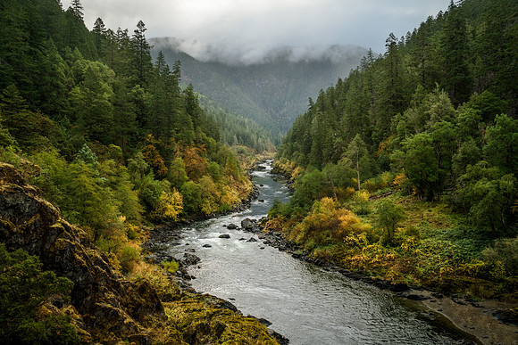 Rogue Autumn Rain