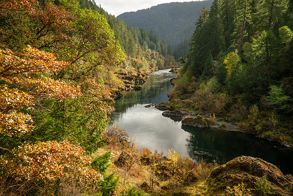 Autumn at Battle Bar