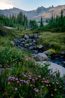 Summit Creek Evening Light