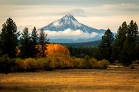 Autumn on the Meadow