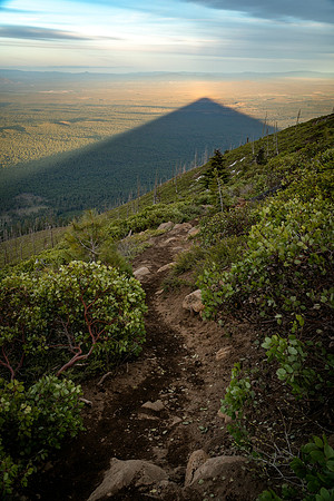 Black Butte Shadow