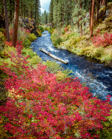 Metolius River Eruption