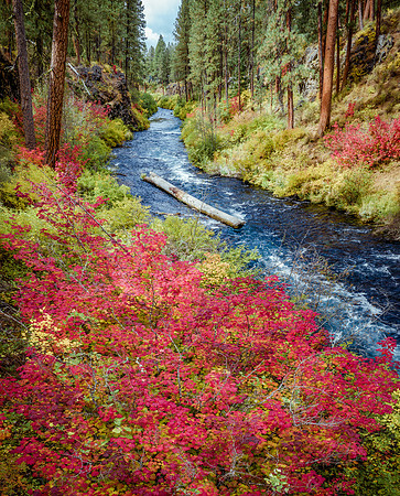 Metolius River Eruption
