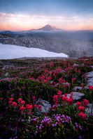 Mount Adams in the Mist, WA
