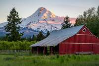 Mount Hood Red Barn
