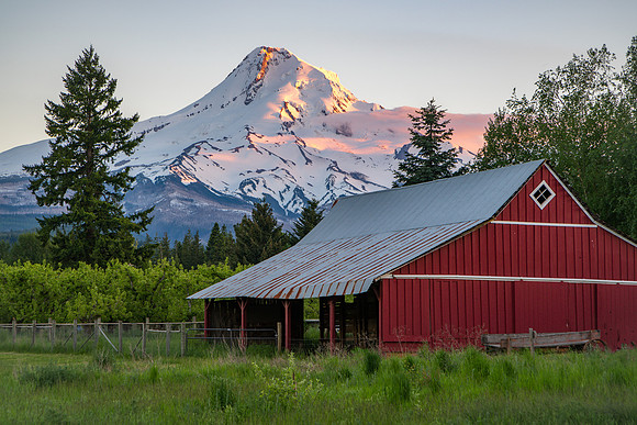 Mount Hood Red Barn