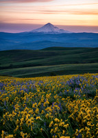 Mount Hood Dalles Mountain