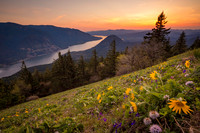 Dog Mountain Early Season