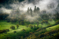 Columbia Gorge Fairytale