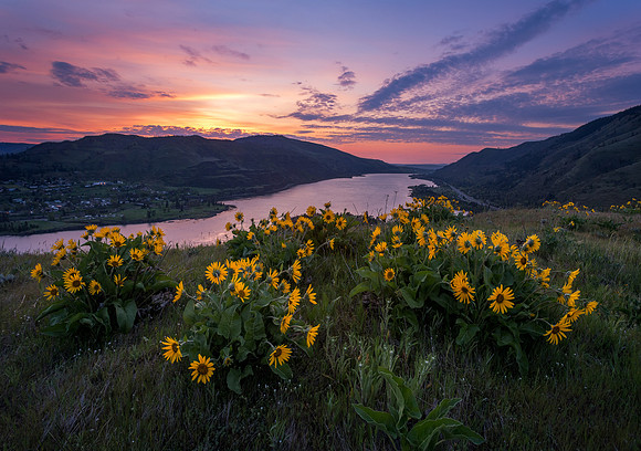 Rowena Crest Sunrise