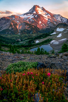 Mount Jefferson Paintbrush
