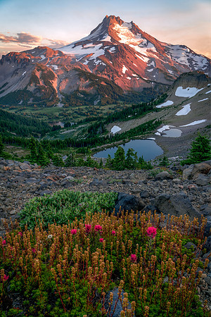 Mount Jefferson Paintbrush