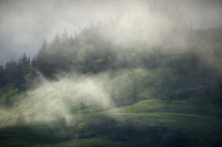 In a Foggy Dream