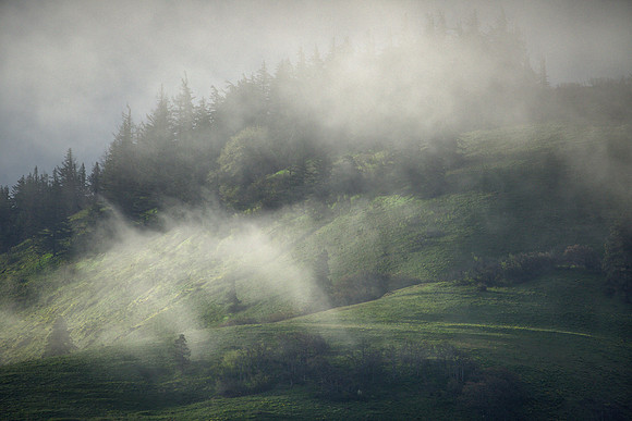 In a Foggy Dream