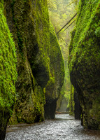 Oneonta Gorge Perfection