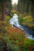 Fall Comes to the Gorge