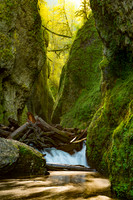 Oneonta Gorge Log Jam