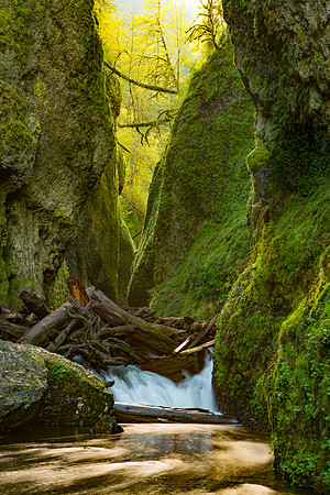 Oneonta Gorge Log Jam