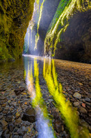 Wet Feet in Oneonta Gorge